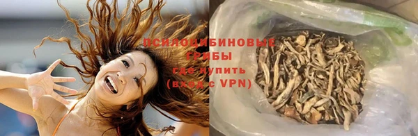 гидропоника Алзамай