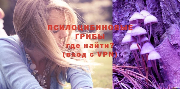 спайс Абаза